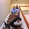 sarahjacquel585